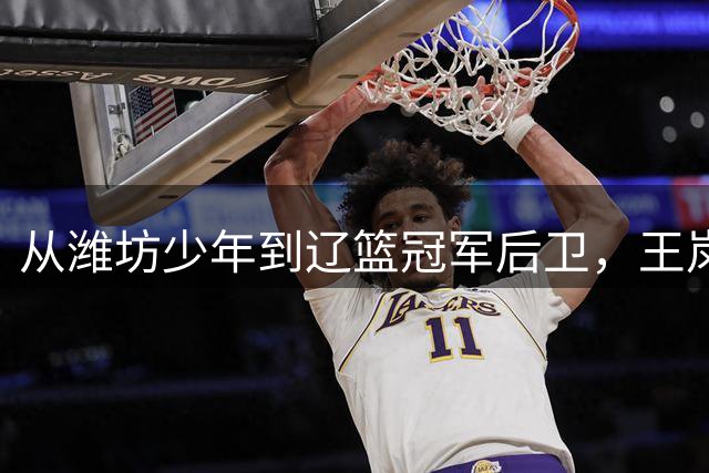 从潍坊少年到辽篮冠军后卫，王岚嵚四年长约回家乡，山东男篮后场迎新大脑